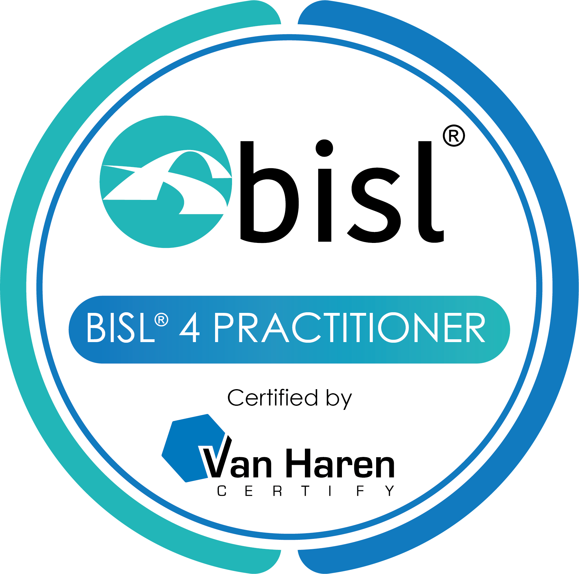 BISL Framework - Practitioner training